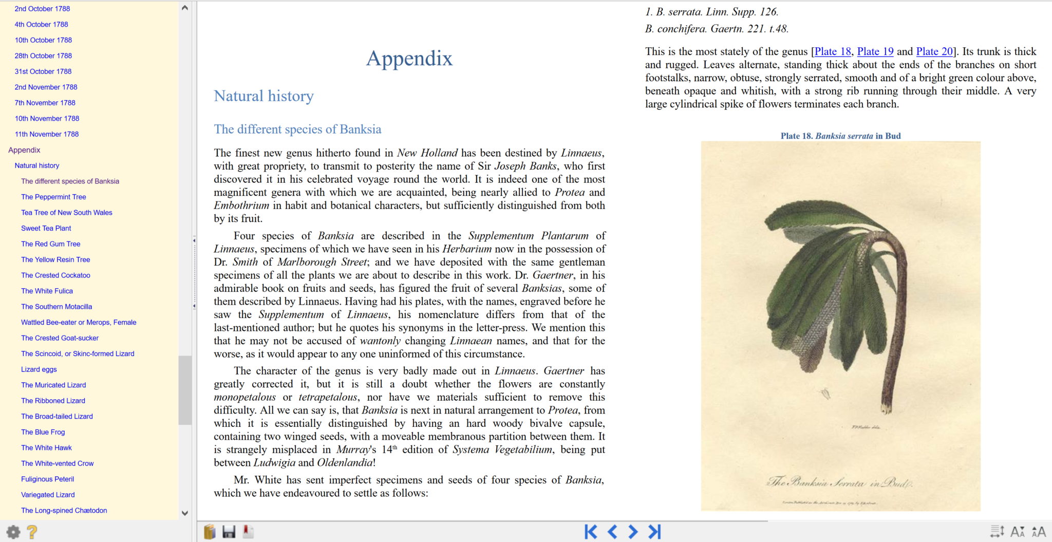 What are ebooks? Image of the ebook text in Mozilla Firefox